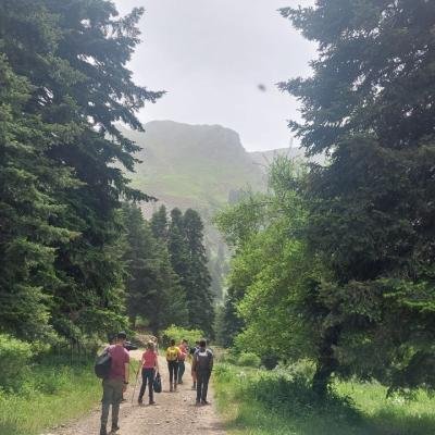 Pezoporia Evrytania Skia Kaliakouda7