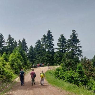 Pezoporia Evrytania Skia Kaliakouda9
