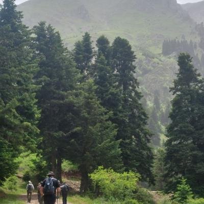 Pezoporia Evrytania Skia Kaliakouda