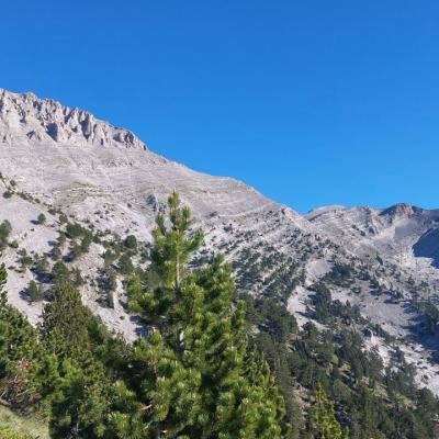 Pezoporia Olympos Koryfes Skolio13