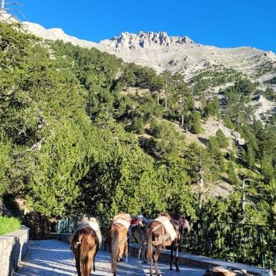 Pezoporia Olympos Koryfes Skolio1