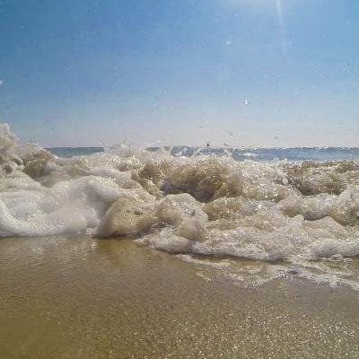 Surf Zaxaro15