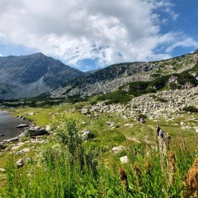 Pezoporia Voulgaria Pirin Rila11