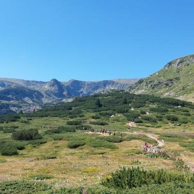 Pezoporia Voulgaria Pirin Rila19