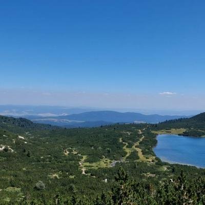 Pezoporia Voulgaria Pirin Rila20
