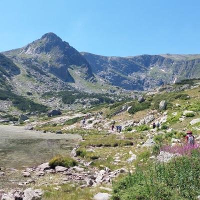 Pezoporia Voulgaria Pirin Rila22