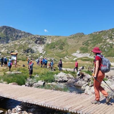 Pezoporia Voulgaria Pirin Rila23