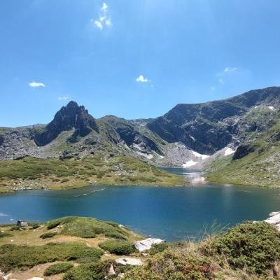 Pezoporia Voulgaria Pirin Rila25