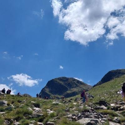 Pezoporia Voulgaria Pirin Rila28