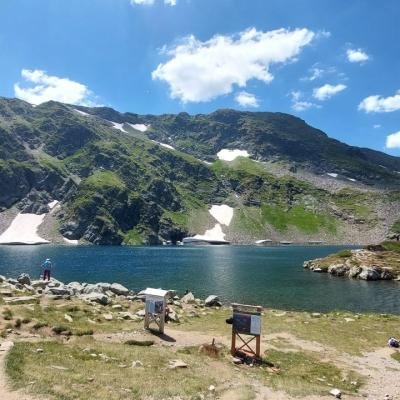 Pezoporia Voulgaria Pirin Rila29