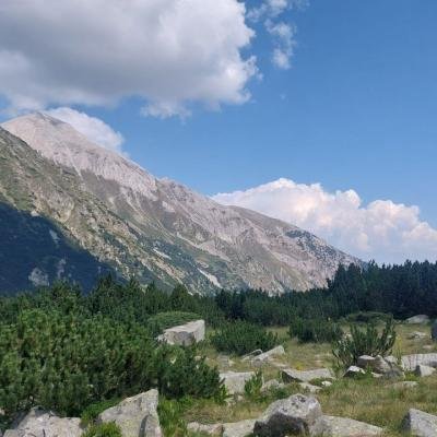 Pezoporia Voulgaria Pirin Rila35