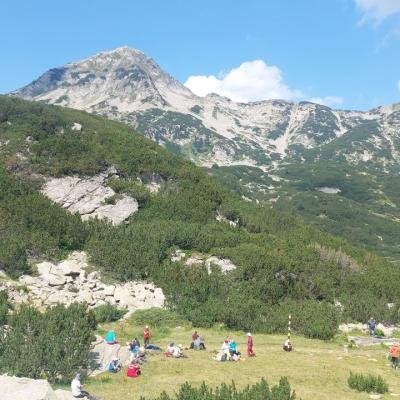 Pezoporia Voulgaria Pirin Rila36