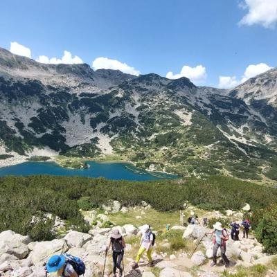 Pezoporia Voulgaria Pirin Rila38