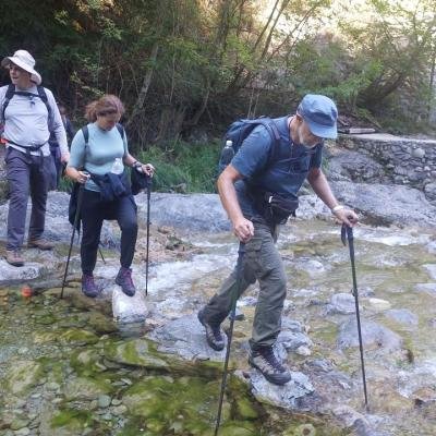 Pezoporia Farangi Enipea13