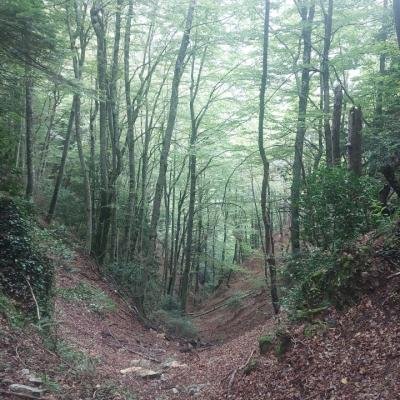 Pezoporia Farangi Enipea5