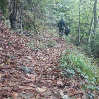 Pezoporia Farangi Enipea7