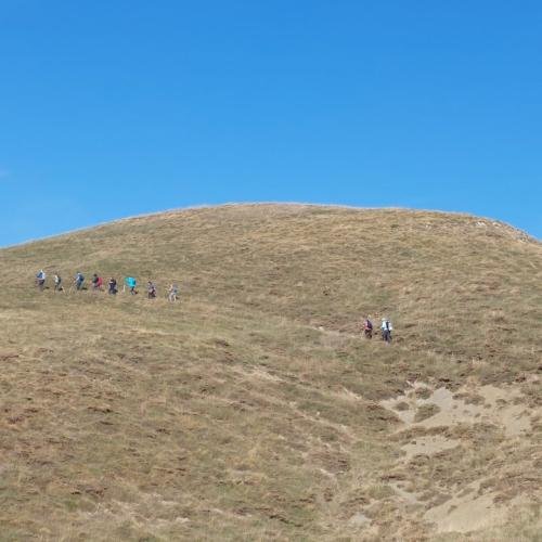 Diasxisi Grammeni Oxia Fthinoporo 18