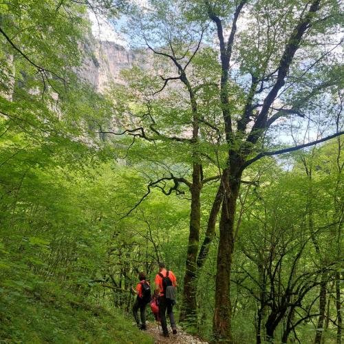 Faraggi Vikou Zagoroxoria 2025 Album 21
