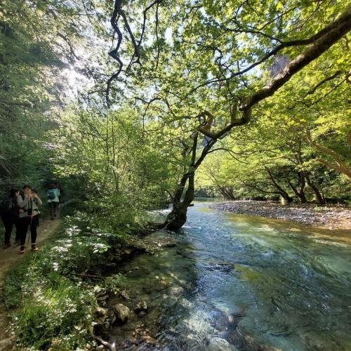 Faraggi Vikou Zagoroxoria 2025 Album 32
