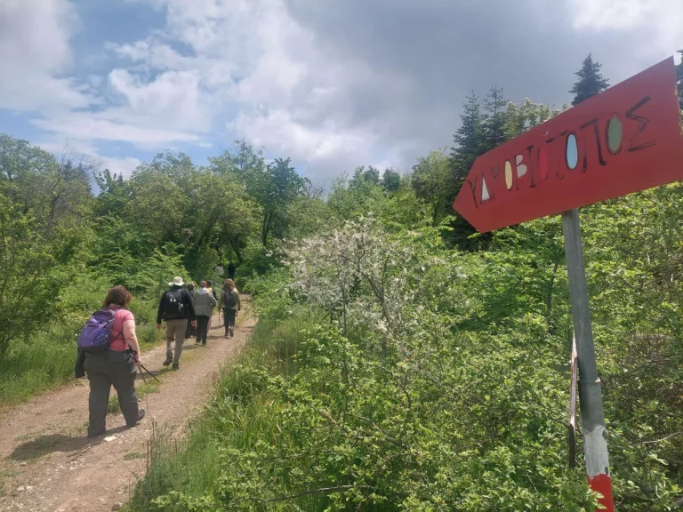 Υδροβιότοπος Τζιρού
