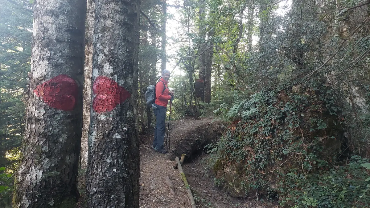 Υδροβιότοπος Τζιρού