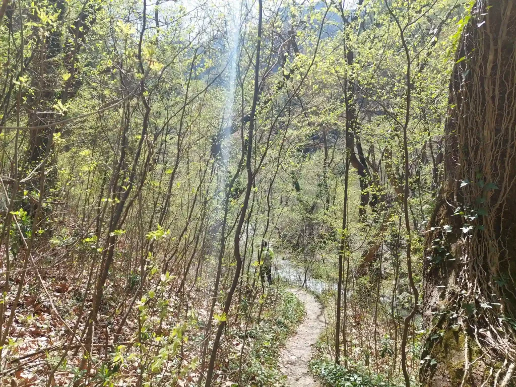 backpackongreece-image-ramno-bor-monopati-011