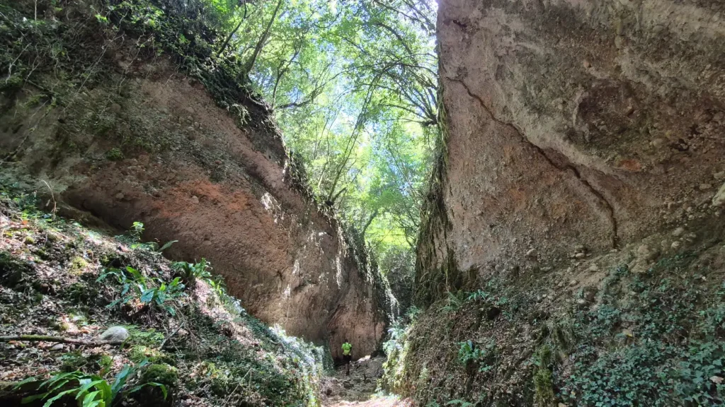 backpackongreece-image-dryodasos-foloi-2025-05