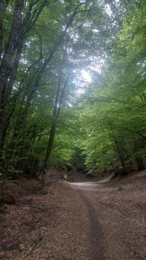 backpackongreece-image-metsovo-sta-xnaria-tis-arkoudas-2025-01