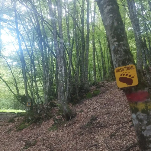 Ursa Trail μονοπάτι στο Μέτσοβο