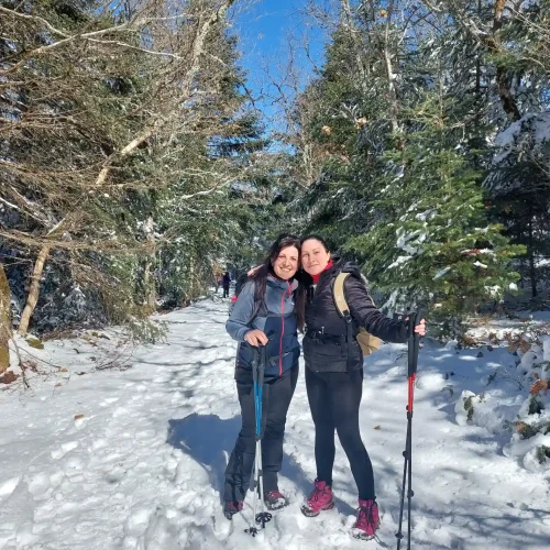 Καρυές χιονισμένο μονοπάτι με μέλη της ομάδας που πεζοπορούν στο δάσος