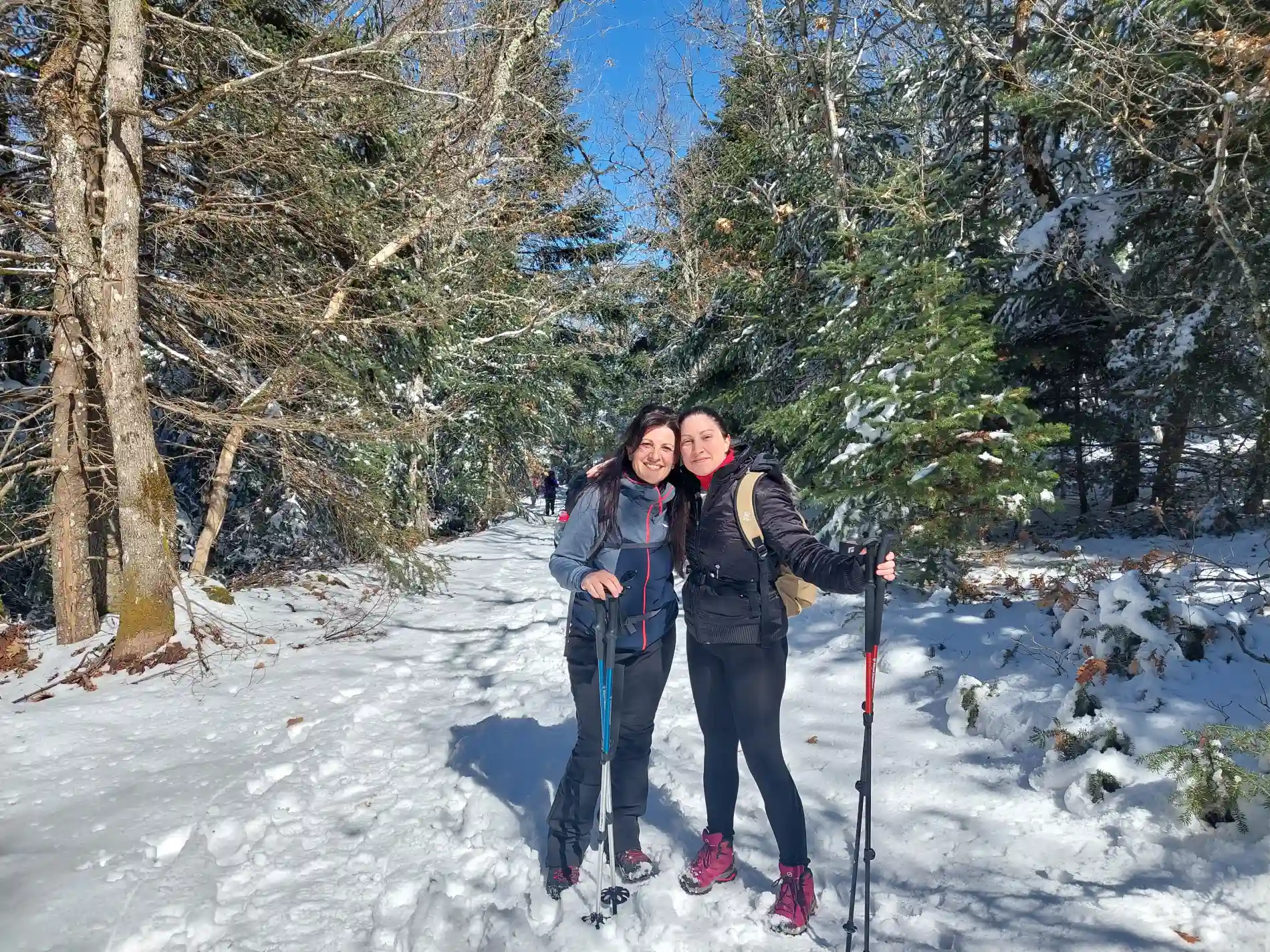 Καρυές χιονισμένο μονοπάτι με μέλη της ομάδας που πεζοπορούν στο δάσος