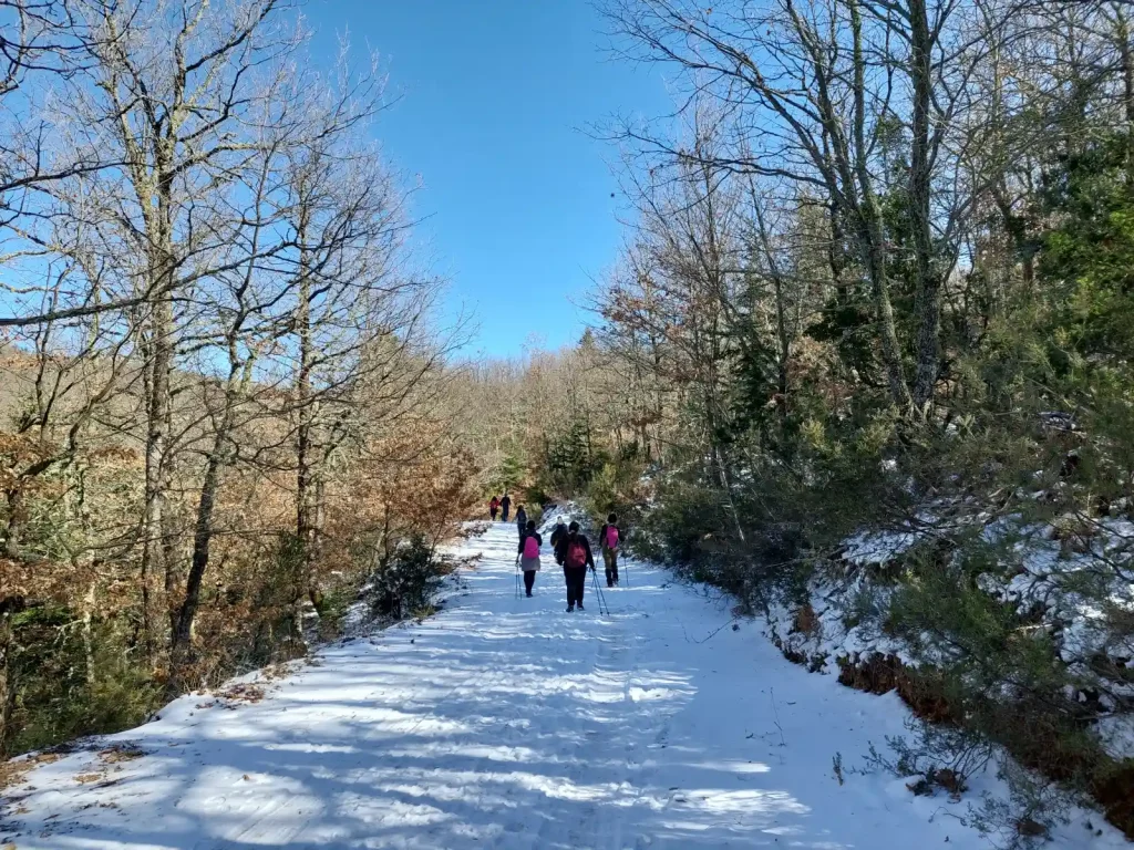 backpackongreece-image-karyes-2026-04