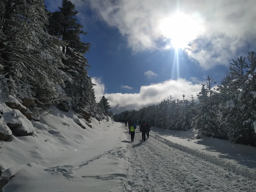 backpackongreece-image-limni-dasiou-2026-08