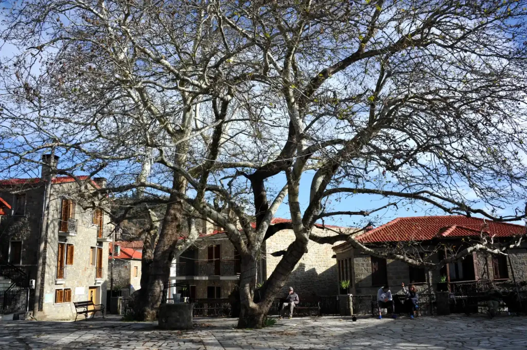 backpackongreece-image-loutra-smokovou-kastro-menelaidos-2026-02