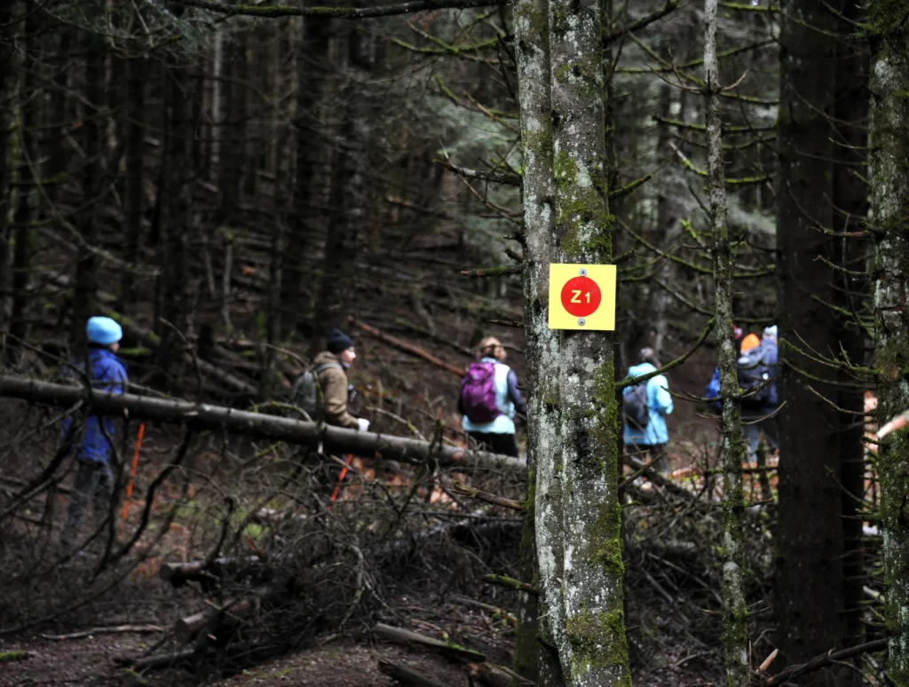 backpackongreece-image-loutra-smokovou-kastro-menelaidos-2026-03