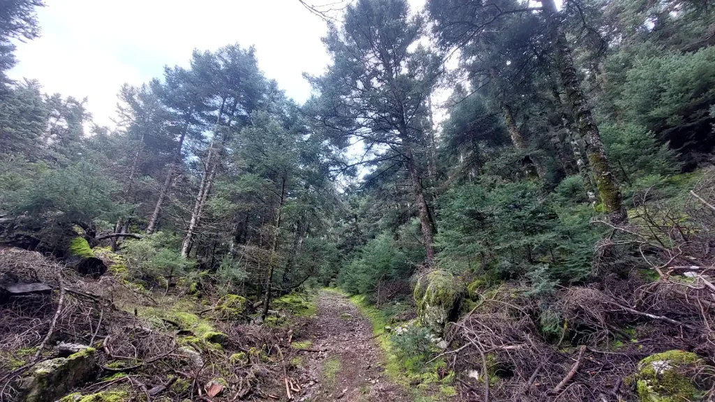 backpackongreece-image-drakotrypia-2026-03