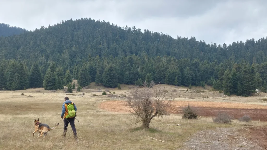 backpackongreece-image-drakotrypia-2026-04