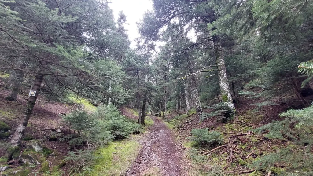 backpackongreece-image-drakotrypia-2026-05