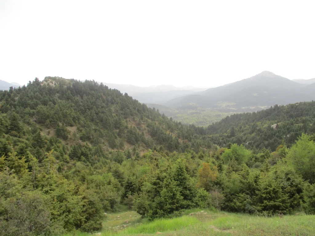 backpackongreece-image-magouliana-nymfasia-2026-05