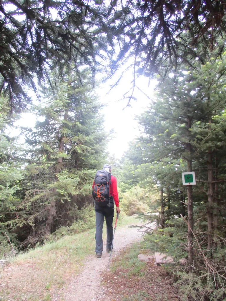 backpackongreece-image-magouliana-nymfasia-2026-06