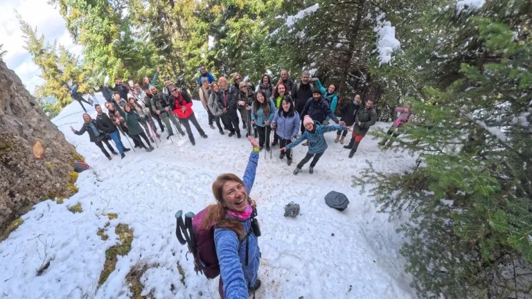 Δρακοτρυπιά