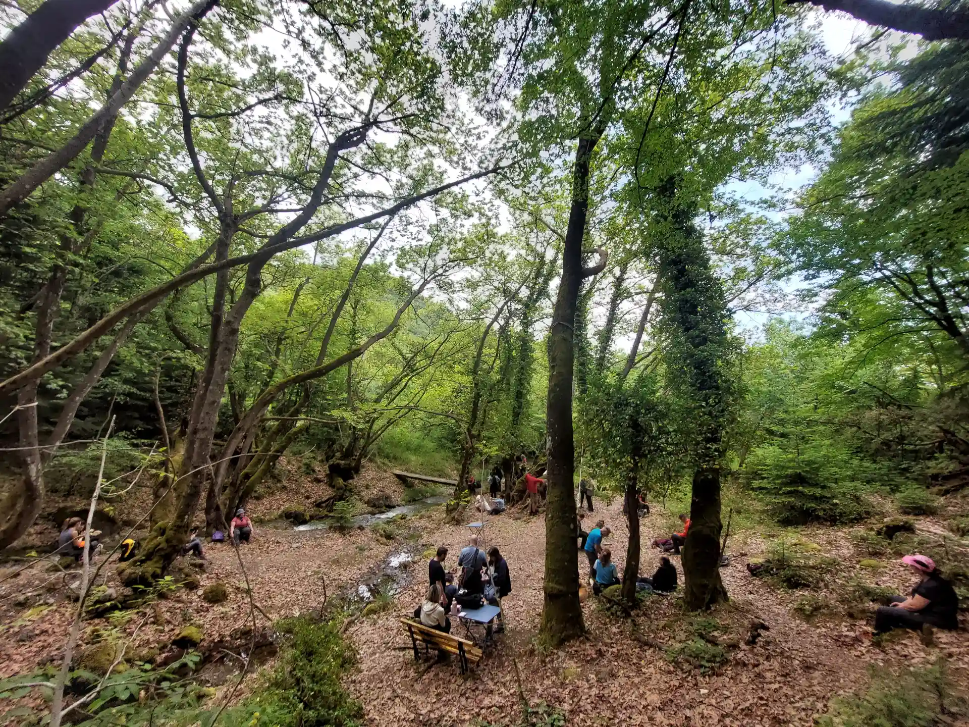 Υδροβιότοπος Τζιρού πεζοπορία στην Οίτη με ομάδα δίπλα σε ρυάκι στο δάσος