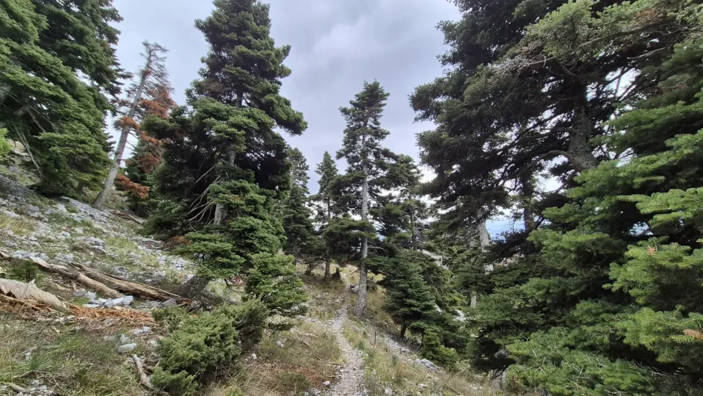 backpackongreece-image-faraggi-agalis-2026-04