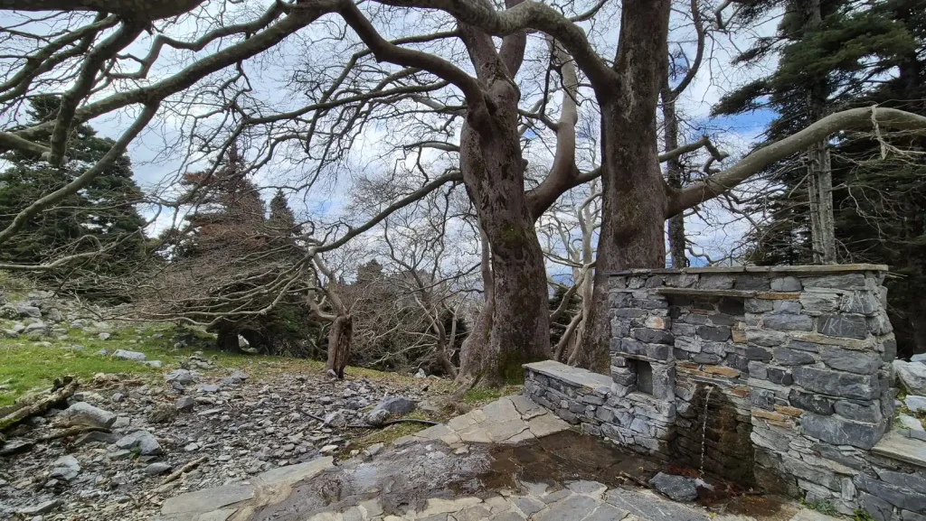 backpackongreece-image-faraggi-agalis-2026-05