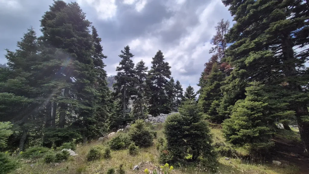 backpackongreece-image-faraggi-agalis-2026-06