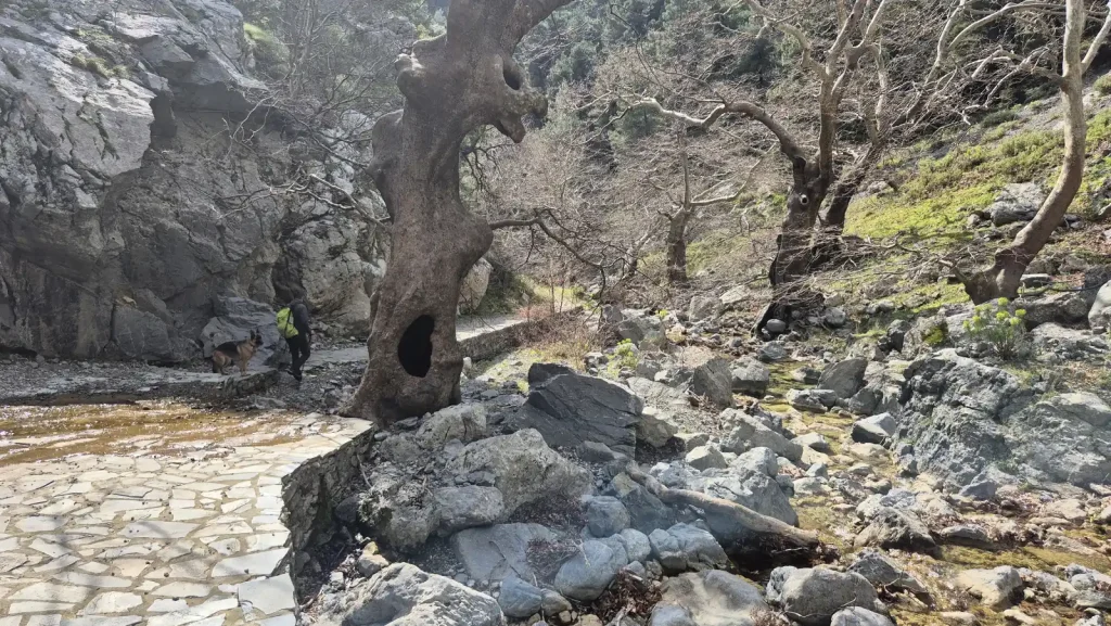 backpackongreece-image-faraggi-agalis-2026-09