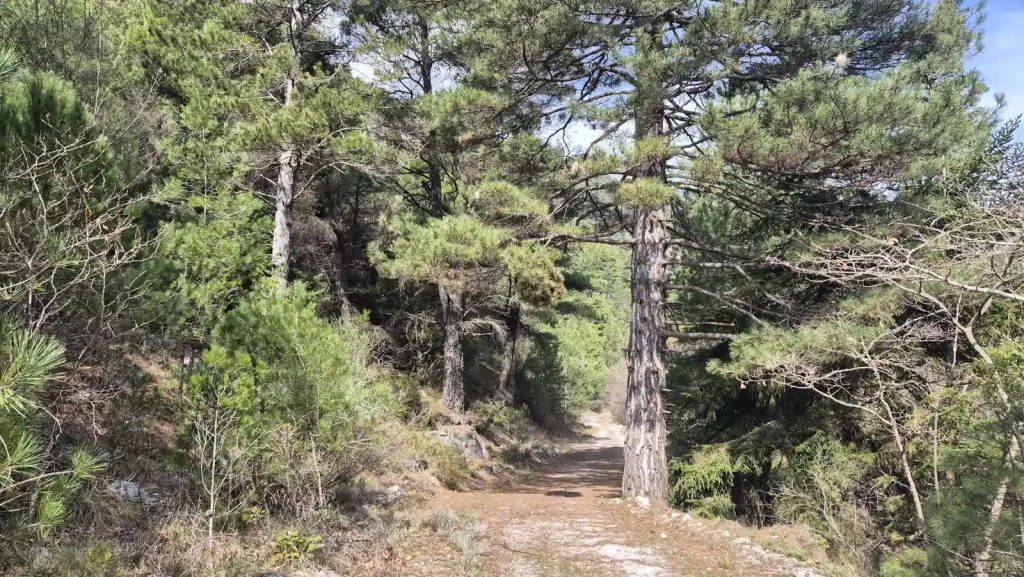 backpackongreece-image-peristera-limni-tsivlou-2026-03