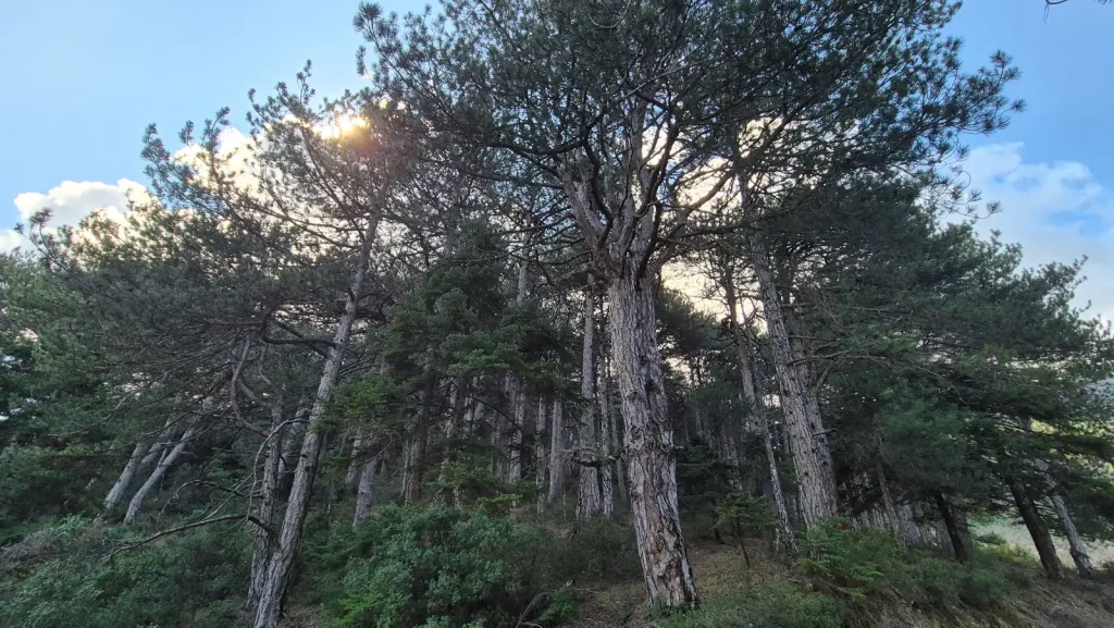 backpackongreece-image-to-monopati-tou-nerou-kallidromo-2026-02