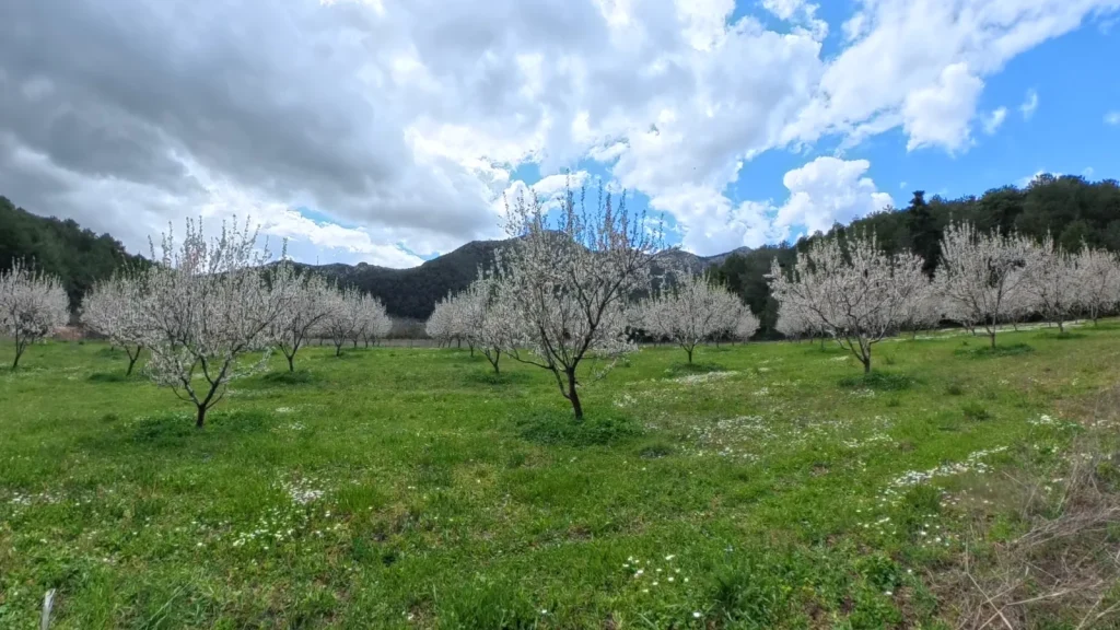 backpackongreece-image-to-monopati-tou-nerou-kallidromo-2026-12