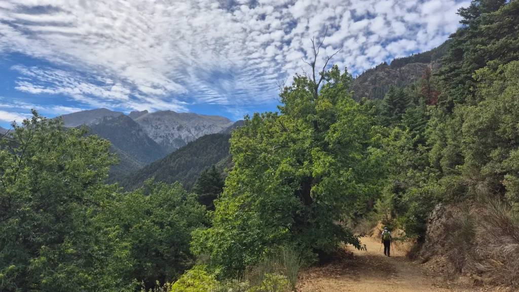 backpackongreece-image-pezoporia-zarouchla-2026-02